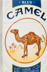 Camel